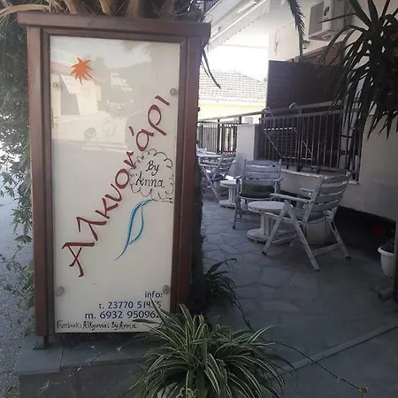 Alkyonari By Anna 아몰리아니