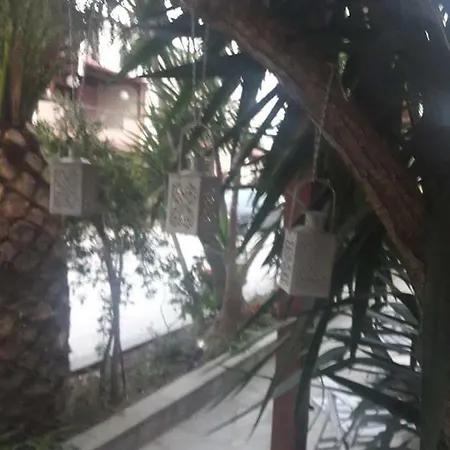 게스트하우스 Alkyonari By Anna 3*