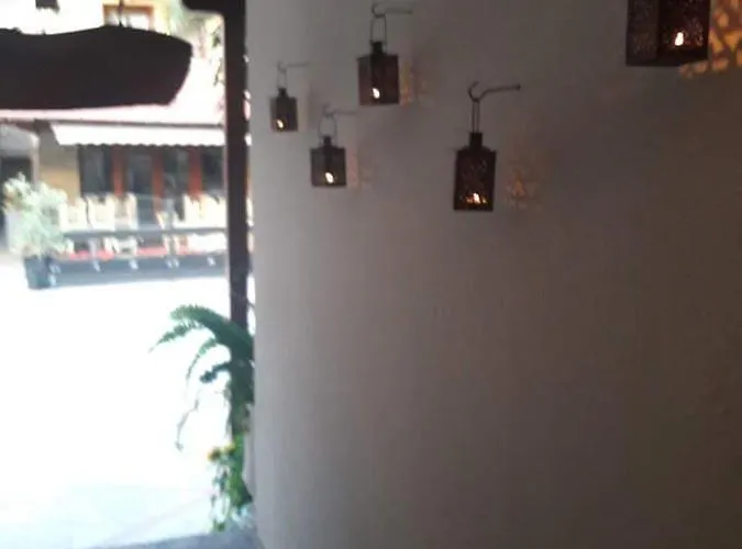 Alkyonari By Anna Πανσιόν